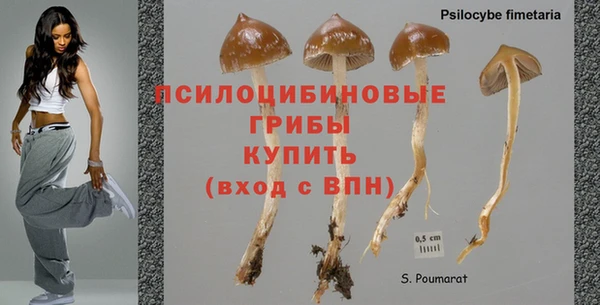 круглые Алексин