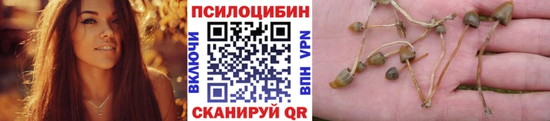Псилоцибиновые грибы мицелий blacksprut рабочий сайт Лахденпохья
